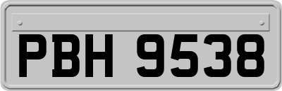 PBH9538