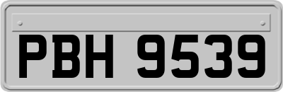 PBH9539