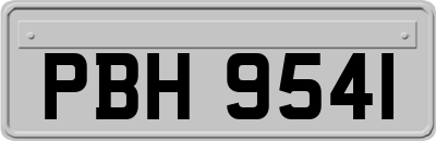 PBH9541