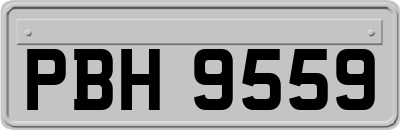 PBH9559