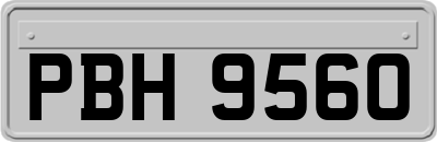 PBH9560