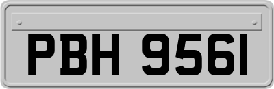 PBH9561