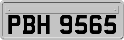 PBH9565