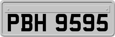 PBH9595