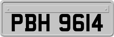 PBH9614