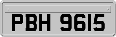 PBH9615