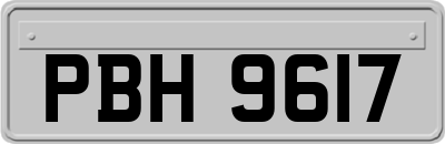 PBH9617