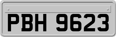 PBH9623