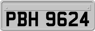 PBH9624