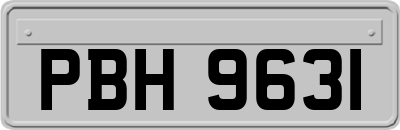 PBH9631