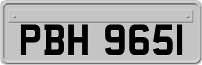 PBH9651