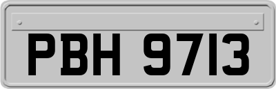 PBH9713