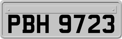 PBH9723