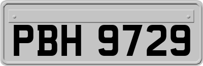 PBH9729