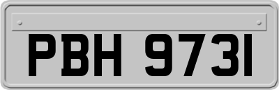 PBH9731