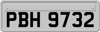 PBH9732