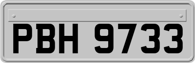 PBH9733