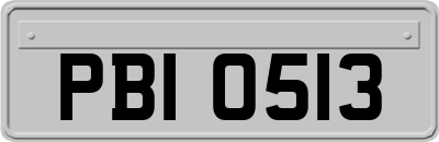 PBI0513