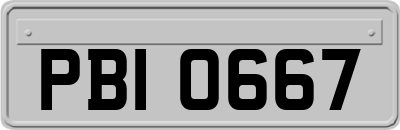 PBI0667