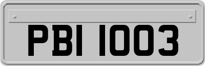 PBI1003