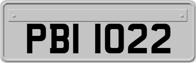 PBI1022