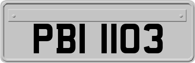 PBI1103