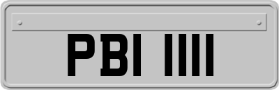 PBI1111