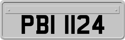 PBI1124