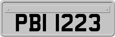 PBI1223