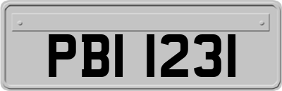 PBI1231