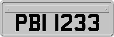 PBI1233