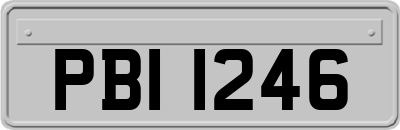 PBI1246