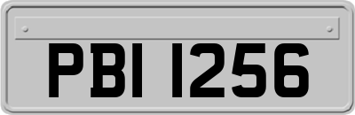 PBI1256