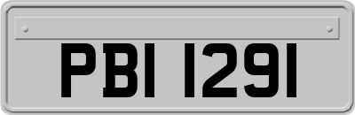 PBI1291