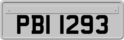 PBI1293