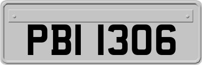 PBI1306