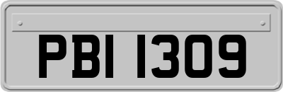 PBI1309