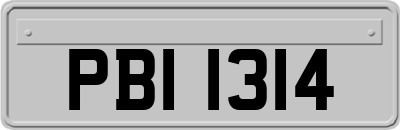 PBI1314