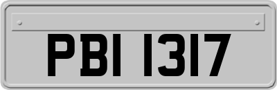 PBI1317