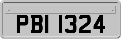 PBI1324