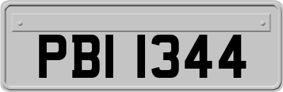 PBI1344