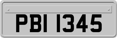 PBI1345