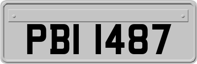 PBI1487