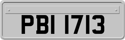PBI1713
