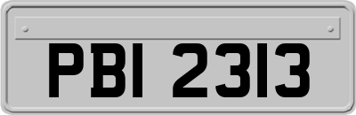 PBI2313