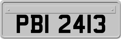 PBI2413