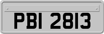 PBI2813