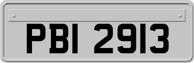 PBI2913