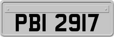 PBI2917