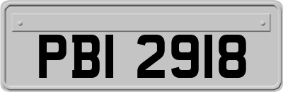 PBI2918